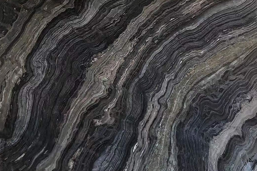 Zebra Brown 