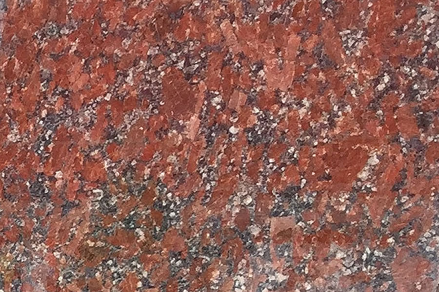 San Diego Red 